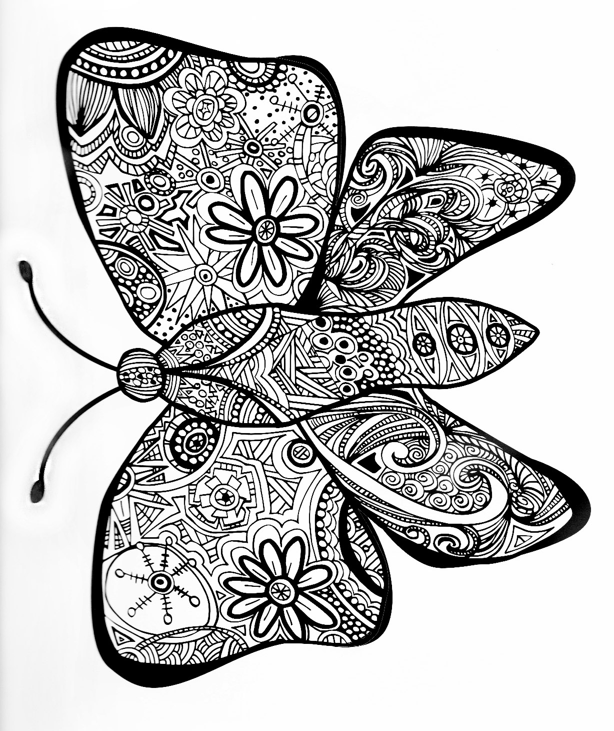 Butterfly to download and color